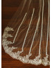 Beautiful Simple Lace Tulle Veil 